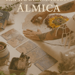 Reprogramación Almica